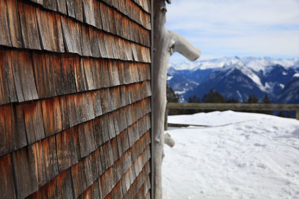 Cost of Cedar Siding Repair in Danville