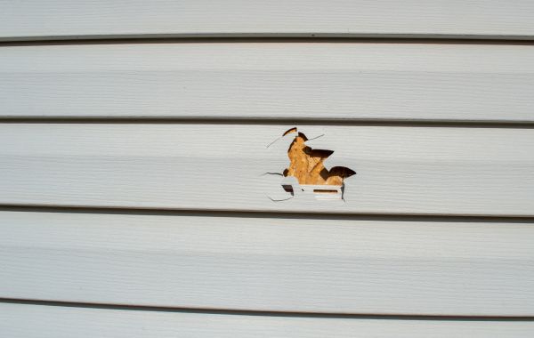 Cost of Siding Hole Repair in Danville
